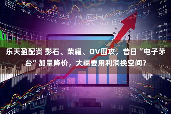 乐天盈配资 影石、荣耀、OV围攻，昔日“电子茅台”加量降价，大疆要用利润换空间？