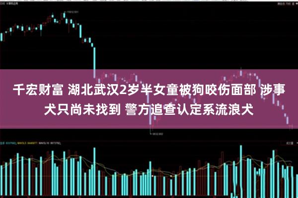 千宏财富 湖北武汉2岁半女童被狗咬伤面部 涉事犬只尚未找到 警方追查认定系流浪犬