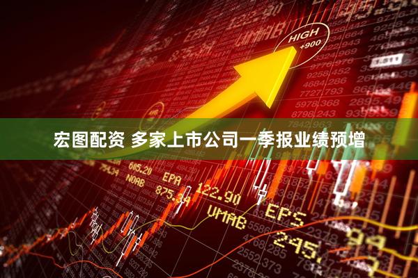 宏图配资 多家上市公司一季报业绩预增